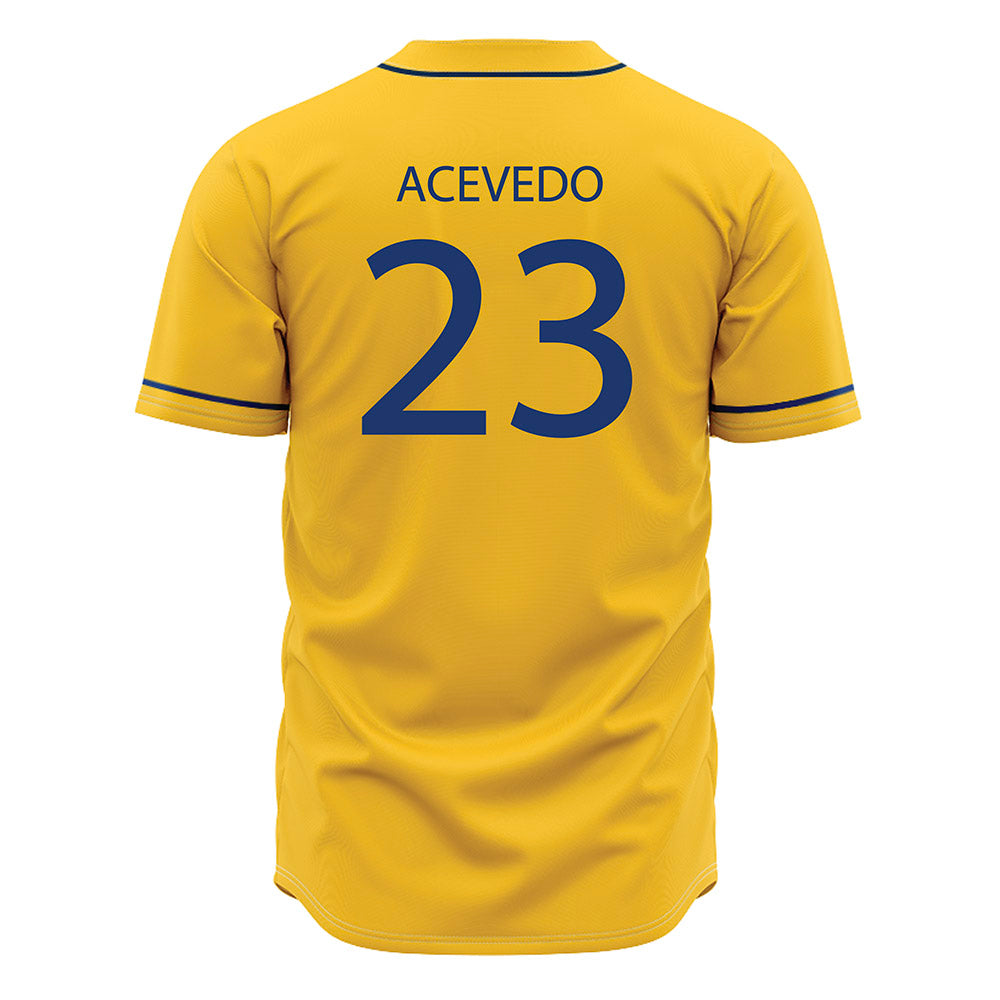 North Carolina A&T - NCAA Baseball : LJ Acevedo - Jersey-1