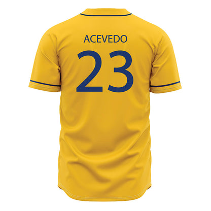 North Carolina A&T - NCAA Baseball : LJ Acevedo - Jersey-1