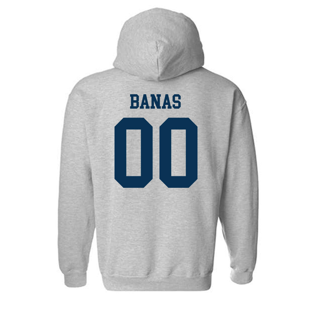 Saginaw Valley - NCAA Baseball : Noah Banas - Hooded Sweatshirt-1