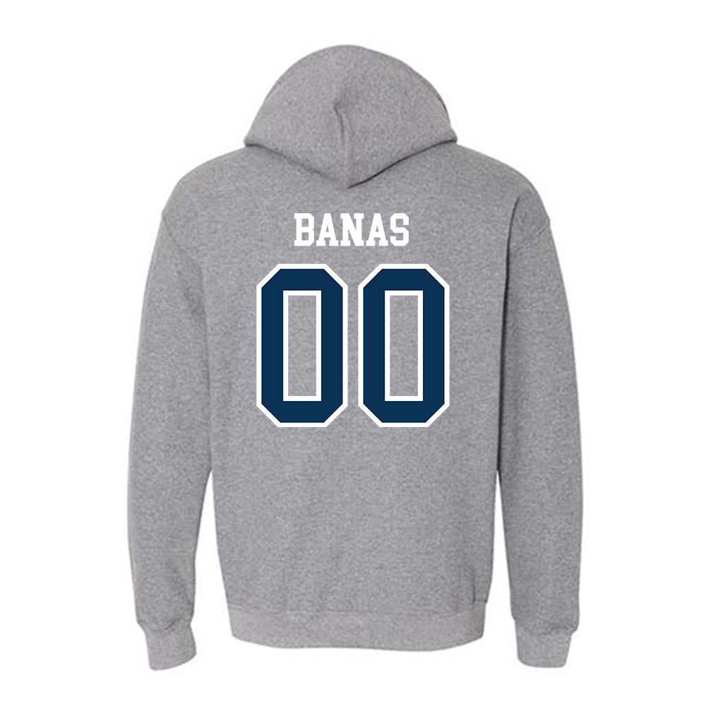 Saginaw Valley - NCAA Baseball : Noah Banas - Hooded Sweatshirt-1
