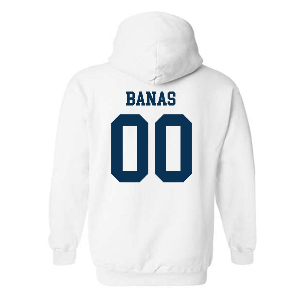 Saginaw Valley - NCAA Baseball : Noah Banas - Hooded Sweatshirt-1
