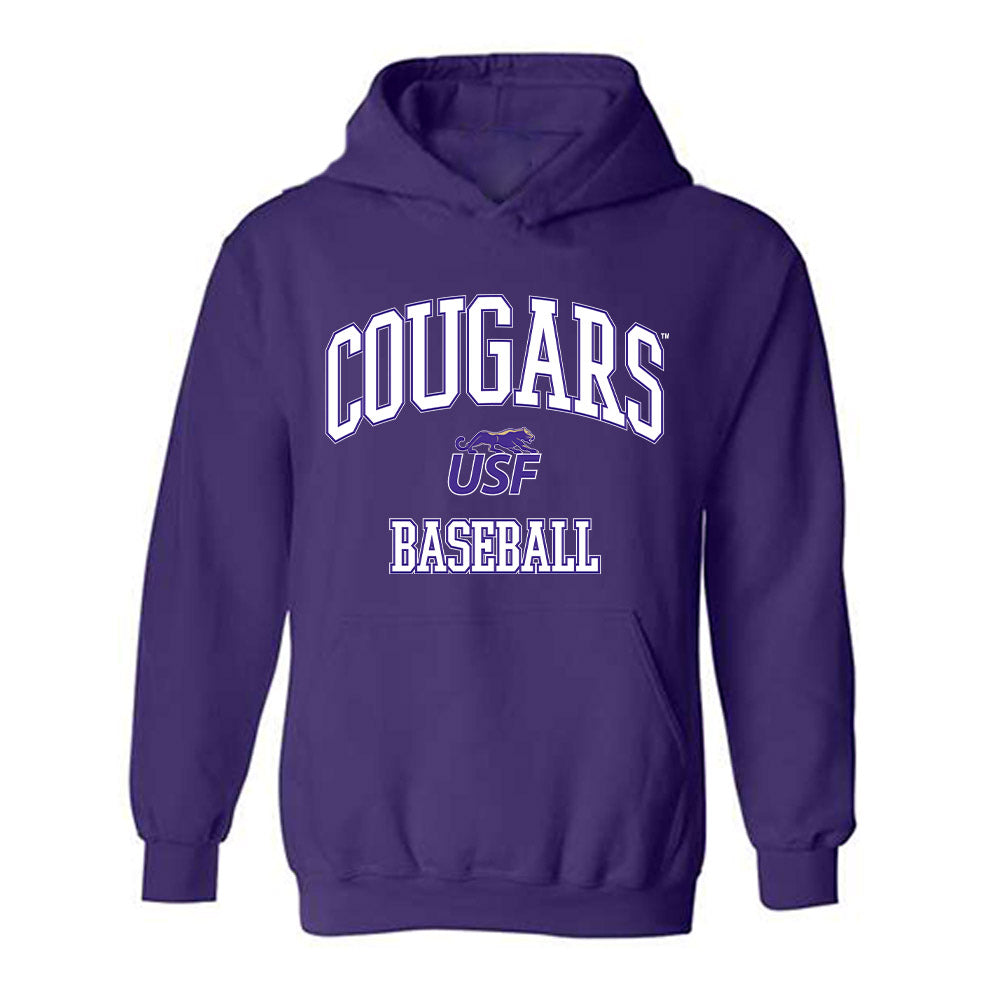 Sioux Falls - NCAA Baseball : Ashton Pick - Classic Shersey Hooded Sweatshirt-0