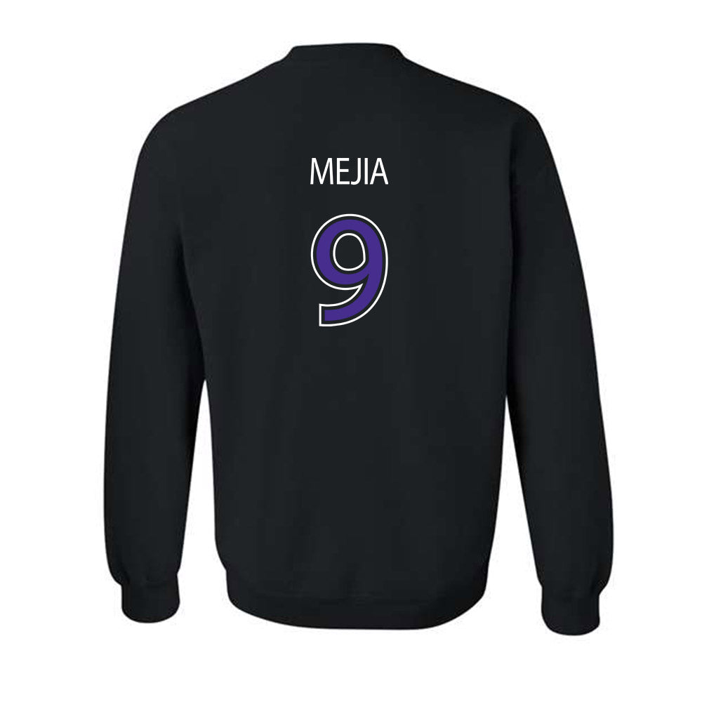 Sioux Falls - NCAA Softball : Ava Mejia - Classic Shersey Crewneck Sweatshirt-1