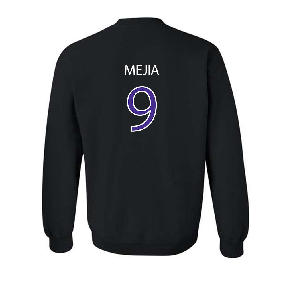 Sioux Falls - NCAA Softball : Ava Mejia - Classic Shersey Crewneck Sweatshirt-1