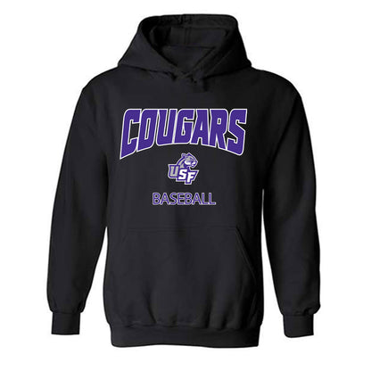 Sioux Falls - NCAA Baseball : Eli Larson - Classic Shersey Hooded Sweatshirt-0