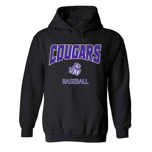Sioux Falls - NCAA Baseball : Eli Larson - Classic Shersey Hooded Sweatshirt-0
