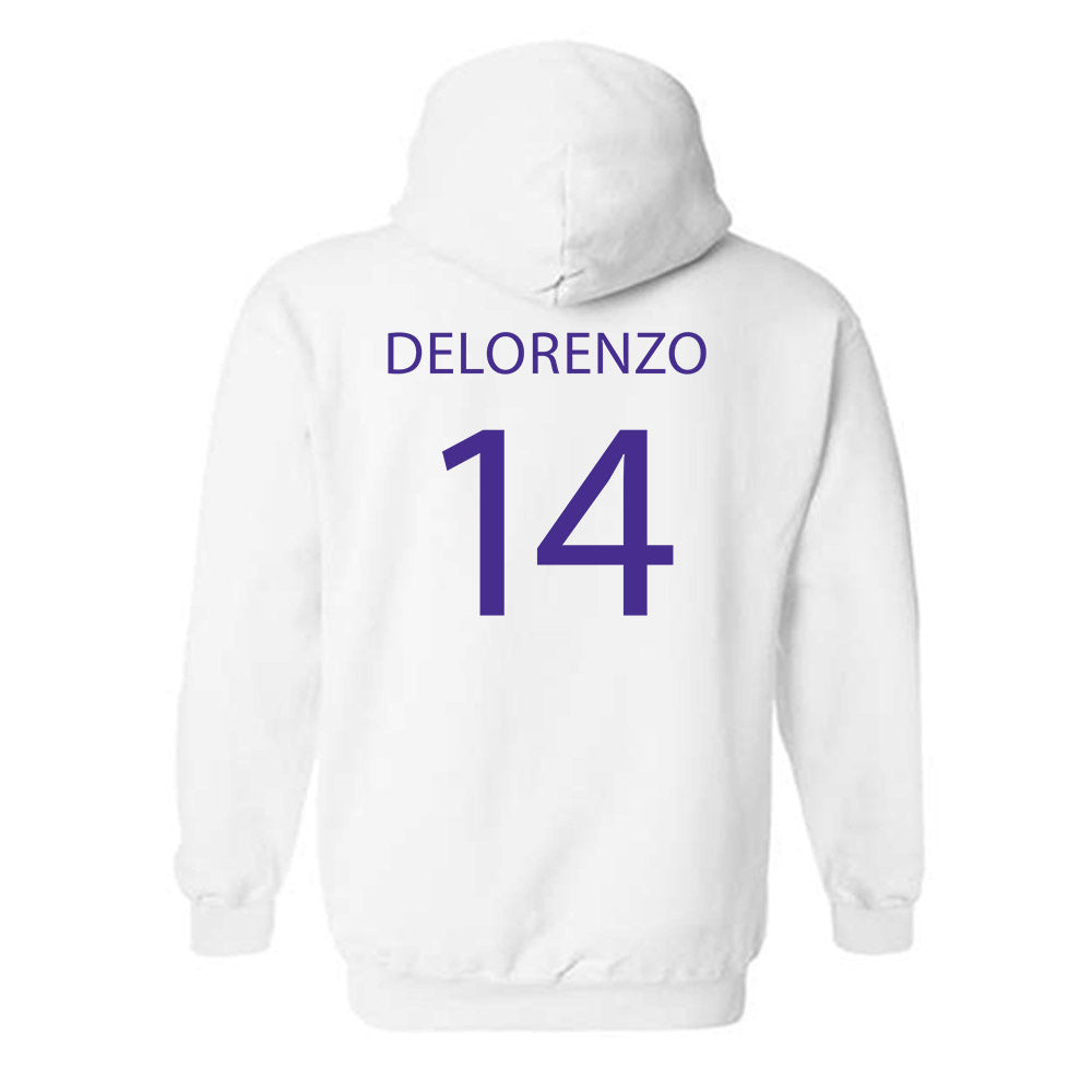 Sioux Falls - NCAA Softball : Brianna Delorenzo - Classic Shersey Hooded Sweatshirt-1