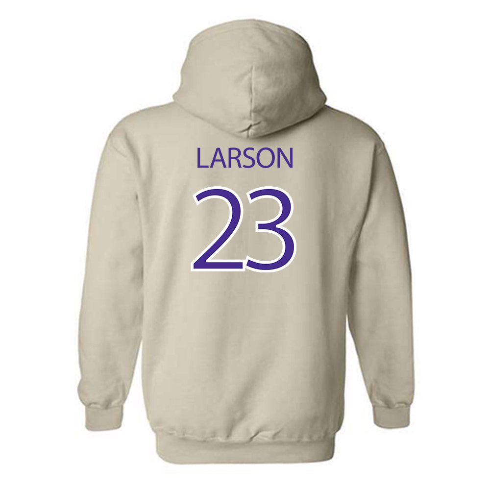 Sioux Falls - NCAA Baseball : Eli Larson - Classic Shersey Hooded Sweatshirt-1