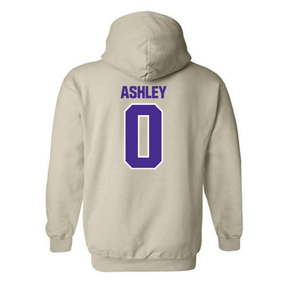 Sioux Falls - NCAA Men's Basketball : Taylen Ashley - Classic Shersey Hooded Sweatshirt-1