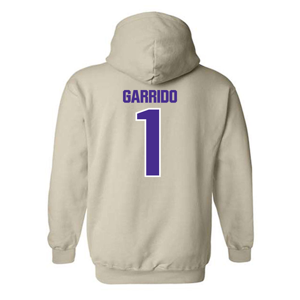 Sioux Falls - NCAA Softball : Tori Garrido - Classic Shersey Hooded Sweatshirt-1