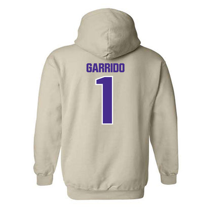 Sioux Falls - NCAA Softball : Tori Garrido - Classic Shersey Hooded Sweatshirt-1