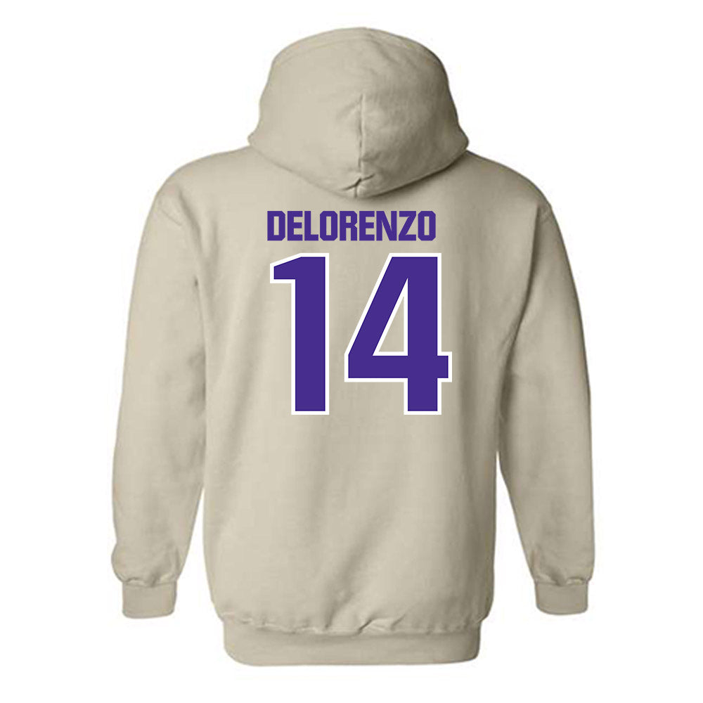 Sioux Falls - NCAA Softball : Brianna Delorenzo - Classic Shersey Hooded Sweatshirt-1