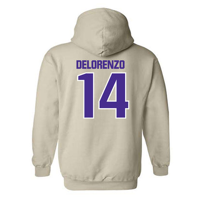 Sioux Falls - NCAA Softball : Brianna Delorenzo - Classic Shersey Hooded Sweatshirt-1