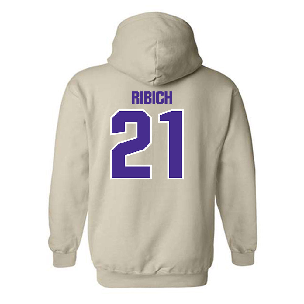 Sioux Falls - NCAA Softball : Sandra Ribich - Classic Shersey Hooded Sweatshirt-1