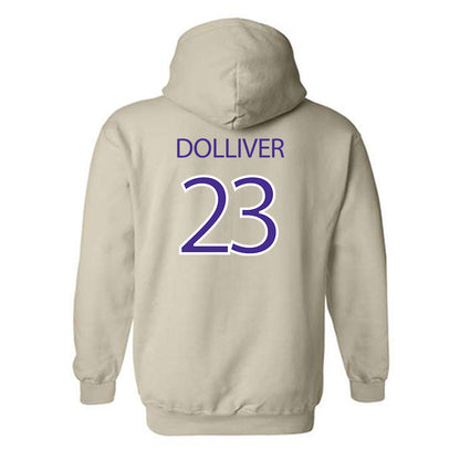 Sioux Falls - NCAA Women's Basketball : Maya Dolliver - Classic Shersey Hooded Sweatshirt-1