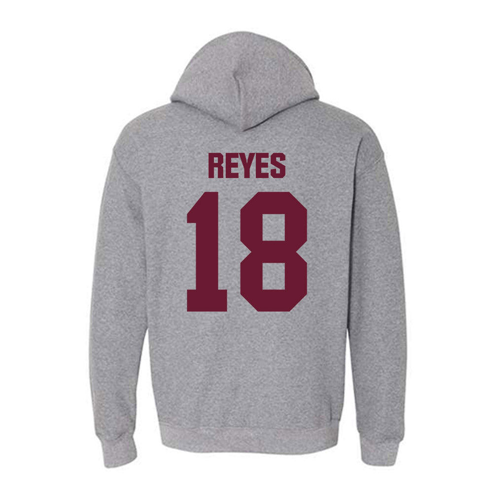 WTAMU - NCAA Baseball : Luis Reyes - Hooded Sweatshirt-1