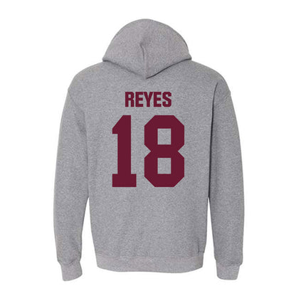 WTAMU - NCAA Baseball : Luis Reyes - Hooded Sweatshirt-1