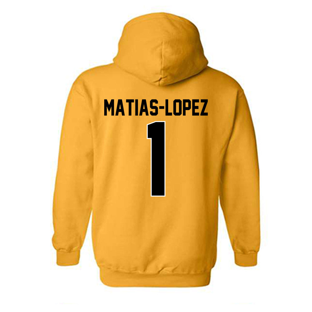 Missouri - NCAA Women's Volleyball : Zoey Matias-Lopez - Classic Shersey Hooded Sweatshirt-1
