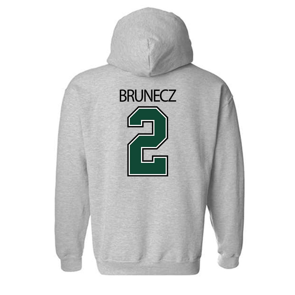 Tiffin - NCAA Baseball : Mason Brunecz - Hooded Sweatshirt-1