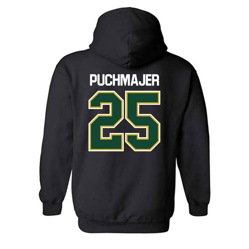 Tiffin - NCAA Baseball : Brody Puchmajer - Hooded Sweatshirt-1