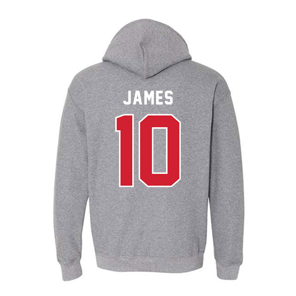 MVSU - NCAA Men's Basketball : Michael James - Hooded Sweatshirt-4