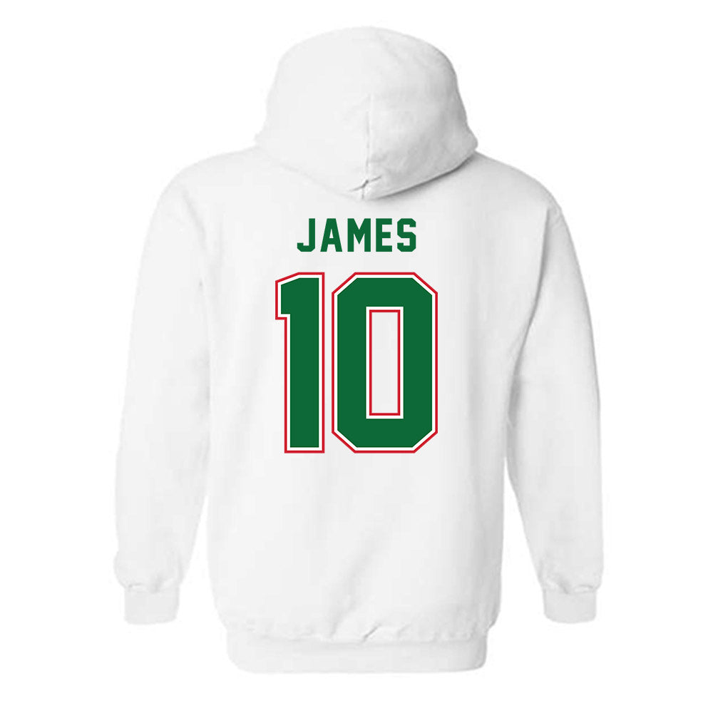 MVSU - NCAA Men's Basketball : Michael James - Classic Shersey Hooded Sweatshirt-1
