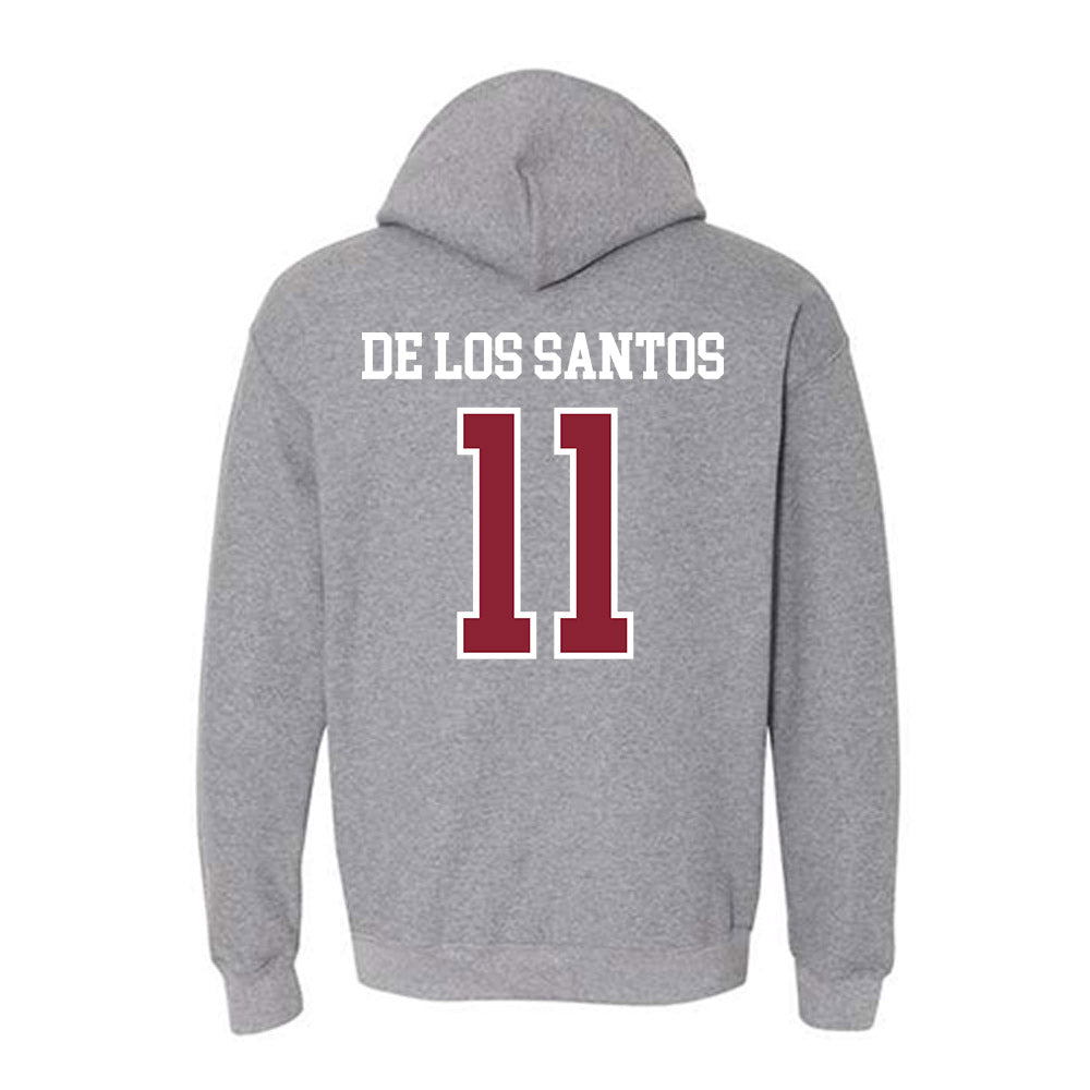 SCSU - NCAA Women's Soccer : Fay De Los Santos - Hooded Sweatshirt-1