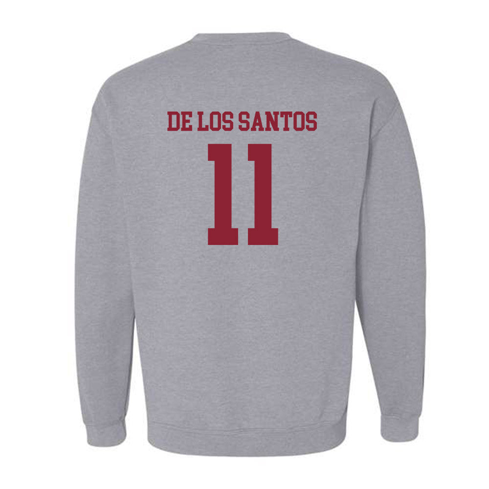 SCSU - NCAA Women's Soccer : Fay De Los Santos - Crewneck Sweatshirt-1