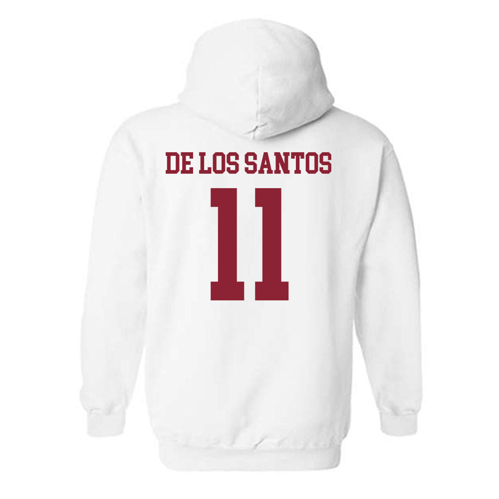 SCSU - NCAA Women's Soccer : Fay De Los Santos - Hooded Sweatshirt-1
