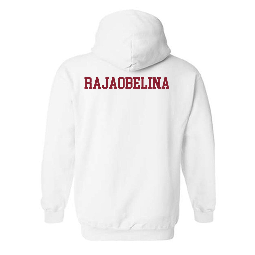 SCSU - NCAA Women's Tennis : Iriela Rajaobelina - Hooded Sweatshirt-1