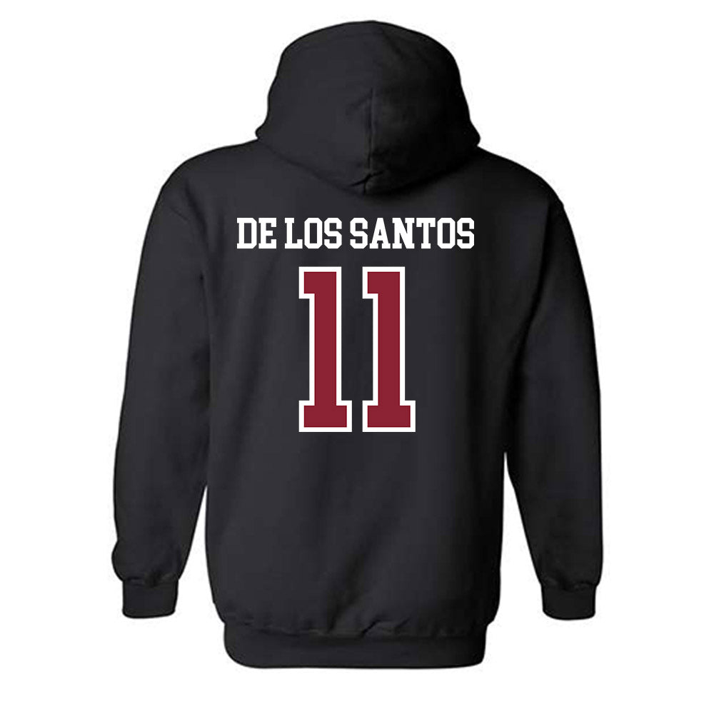 SCSU - NCAA Women's Soccer : Fay De Los Santos - Hooded Sweatshirt-1