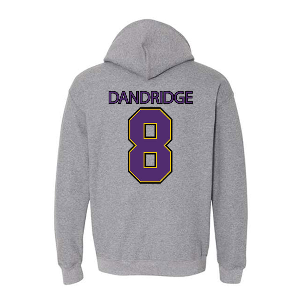 Minn. St. - NCAA Football : Jason Dandridge - Classic Shersey Hooded Sweatshirt-1