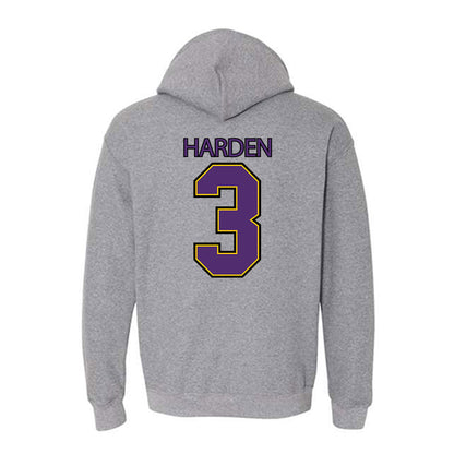 Minn. St. - NCAA Women's Basketball : Shantell Harden - Classic Shersey Hooded Sweatshirt-1
