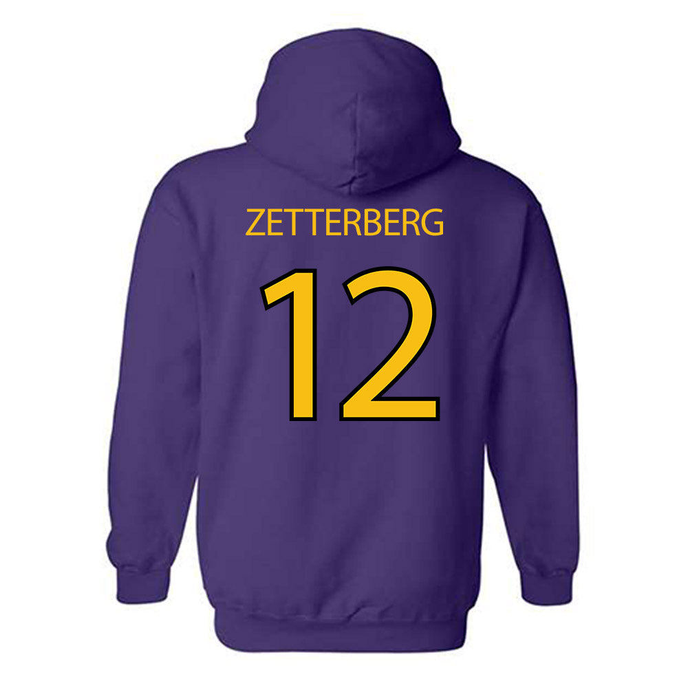 Minn. St. - NCAA Men's Ice Hockey : Alex Zetterberg - Classic Shersey Hooded Sweatshirt-1