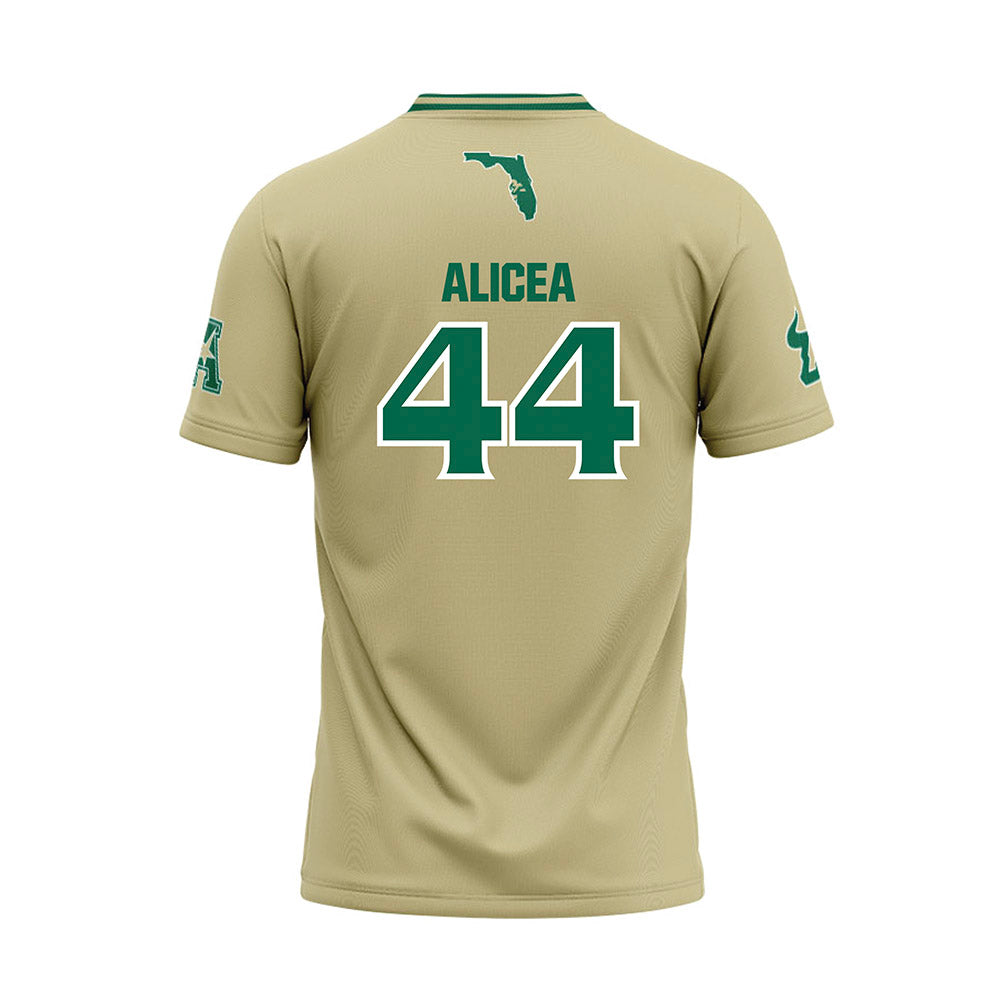 USF - NCAA Baseball : Edwin Alicea - Sand Jersey-1