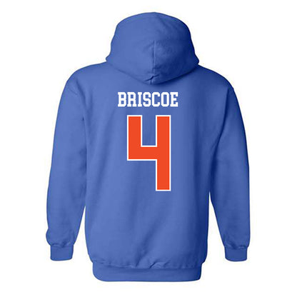 Florida - NCAA Women's Volleyball : Brooklyn Briscoe - Hooded Sweatshirt-1