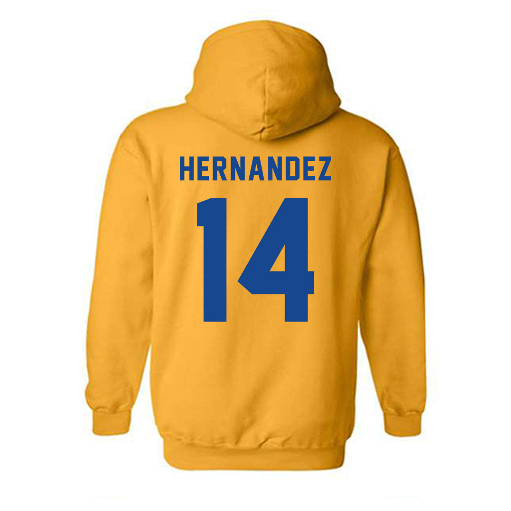 TAMUK - NCAA Softball : Isabella Hernandez - Classic Shersey Hooded Sweatshirt-1