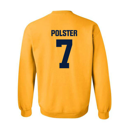 UCSC - NCAA Men's Volleyball : David Polster - Classic Shersey Crewneck Sweatshirt-1