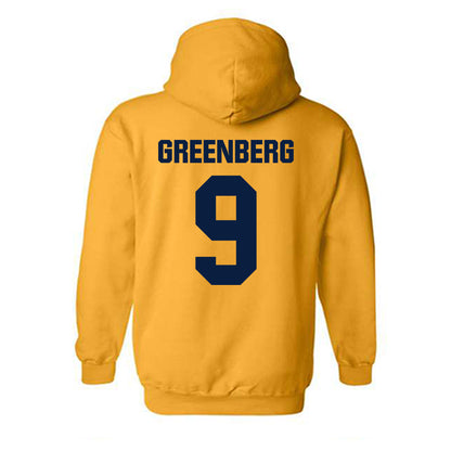 UCSC - NCAA Men's Soccer : Joaquin Greenberg - Classic Shersey Hooded Sweatshirt-1