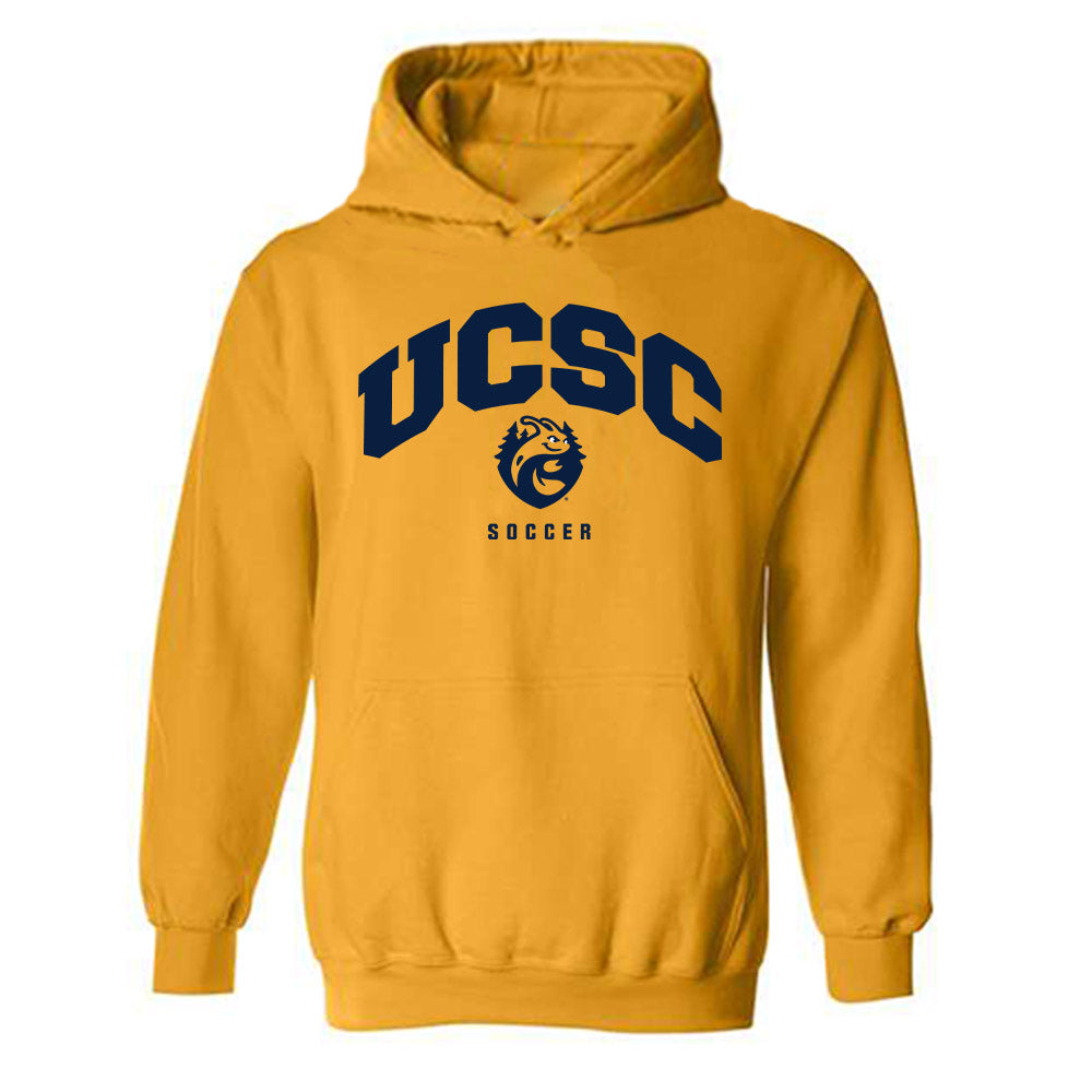 UCSC - NCAA Men's Soccer : Zander Crawford - Classic Shersey Hooded Sweatshirt-0
