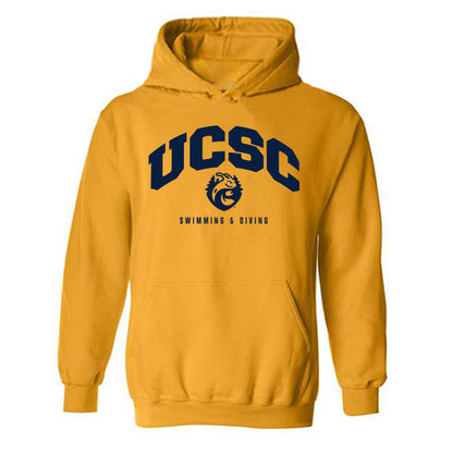 UCSC - NCAA Men's Swimming & Diving : Dylan Blietz - Classic Shersey Hooded Sweatshirt-0