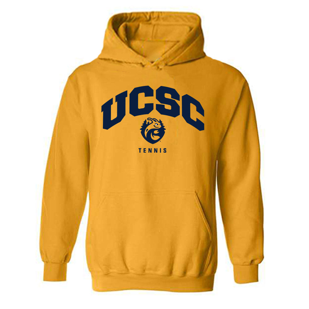 UCSC - NCAA Men's Tennis : Darren Ignatius - Classic Shersey Hooded Sweatshirt-0
