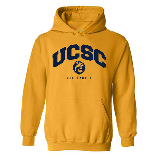 UCSC - NCAA Men's Volleyball : Nick Nayak - Classic Shersey Hooded Sweatshirt-0