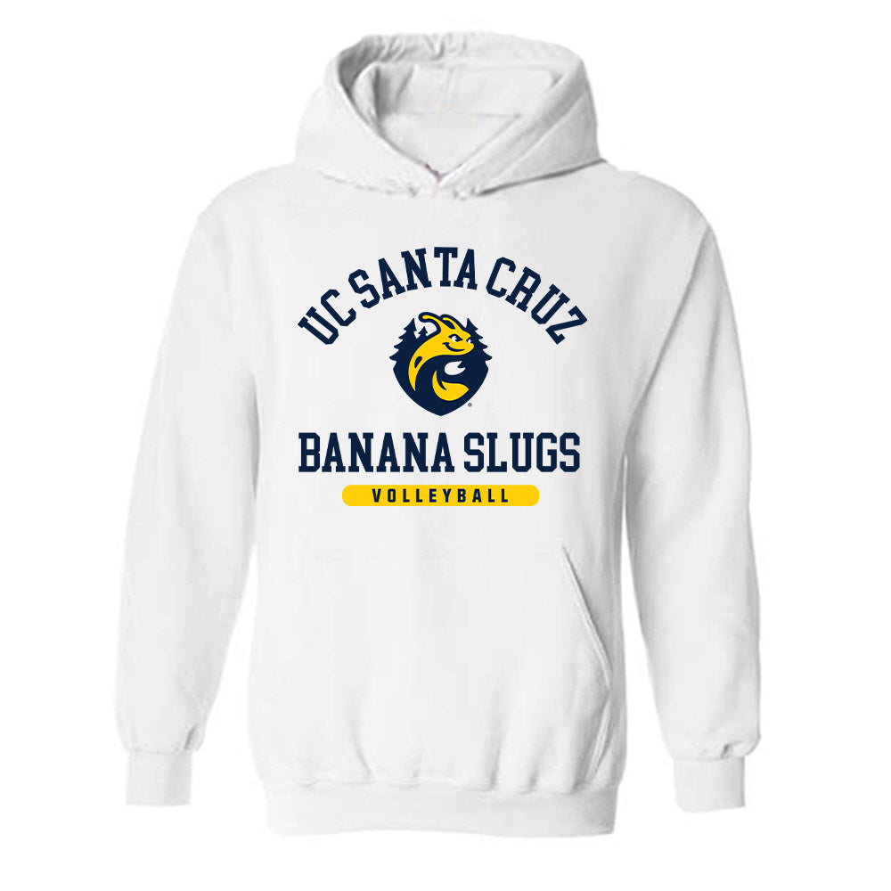UCSC - NCAA Men's Volleyball : Nick Nayak - Classic Shersey Hooded Sweatshirt-0
