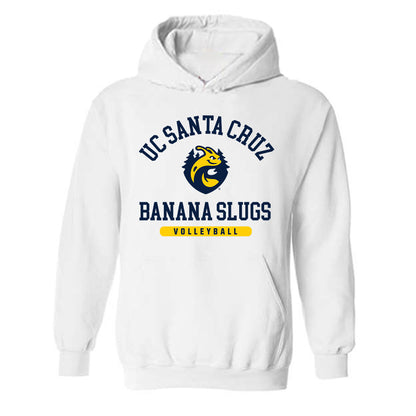UCSC - NCAA Men's Volleyball : David Polster - Classic Shersey Hooded Sweatshirt-0