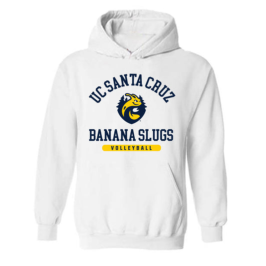 UCSC - NCAA Men's Volleyball : David Polster - Classic Shersey Hooded Sweatshirt-0