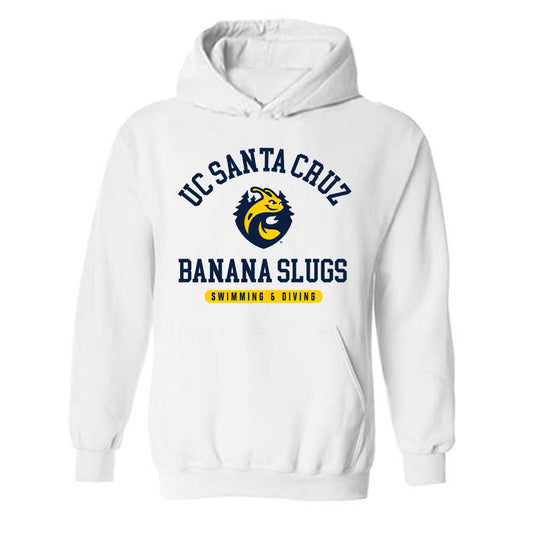 UCSC - NCAA Men's Swimming & Diving : Lucas Blietz - Classic Shersey Hooded Sweatshirt-0