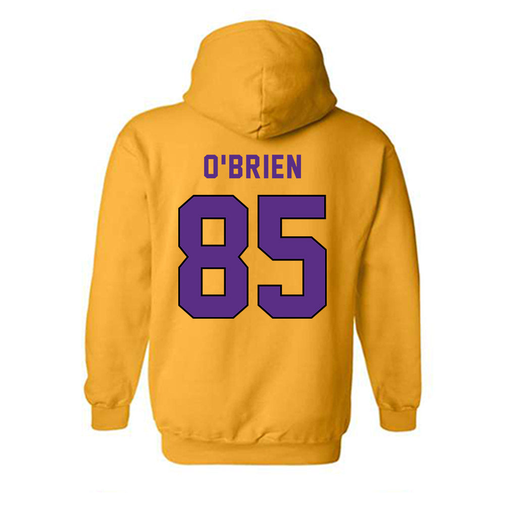 East Carolina - NCAA Football : Triston O'Brien - Classic Shersey Hooded Sweatshirt-1