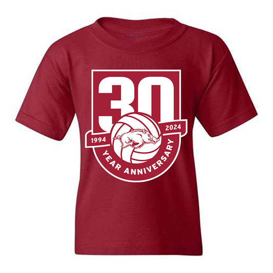 Arkansas - NCAA Women's Volleyball : Livia Niu - 30th Anniversary v2 Youth T-Shirt-0