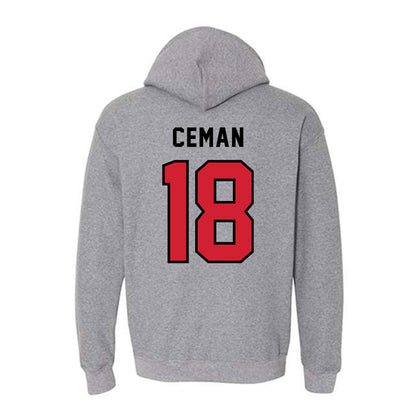 Northeastern - NCAA Women's Volleyball : Cayenne Ceman - Classic Shersey Hooded Sweatshirt-1